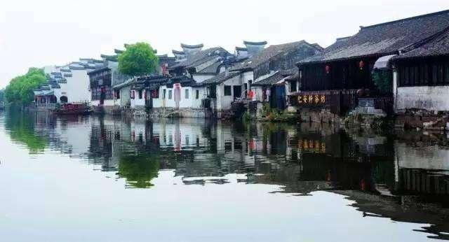 优雅的精灵